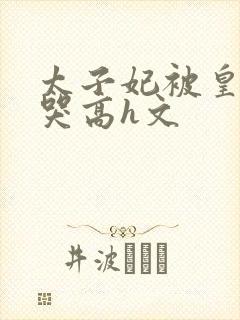 太子妃被皇上c哭高h文