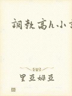 调教高h小说