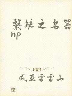 系统之名器攻略np封面