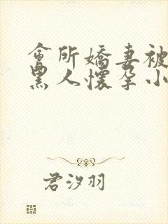 会所娇妻被多个黑人怀孕小说封面