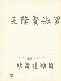 天降贤淑男小说