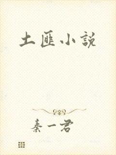 土匪小说