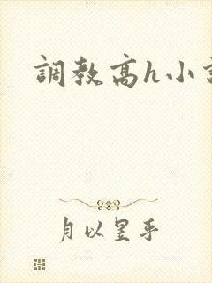 调教高h小说封面