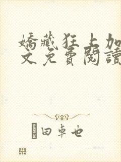 娇藏狂上加狂全文免费阅读笔趣阁