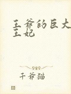 王爷的巨大进入王妃