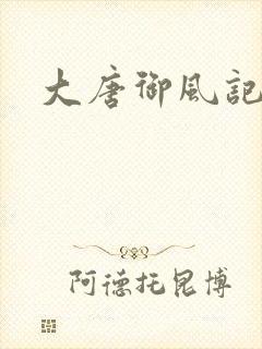 大唐御风记封面