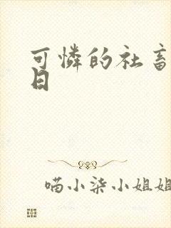 可怜的社畜东度日
