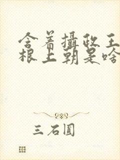 含着摄政王的紫根上朝是啥小说封面