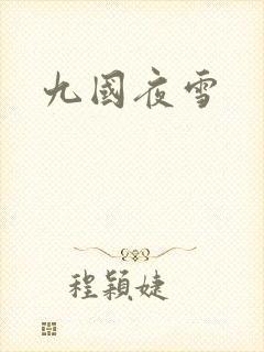 九国夜雪封面
