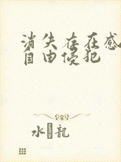 消失存在感消失自由侵犯