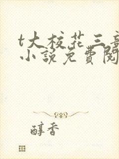 t大校花三部曲小说免费阅读全文封面