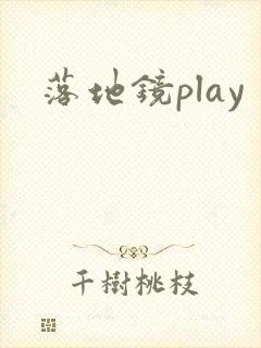 落地镜play