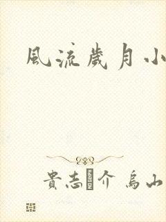 风流岁月小说封面