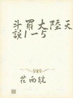 斗罗大陆天狂传说1一5