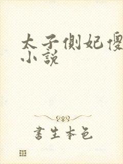 太子侧妃傻乎乎小说