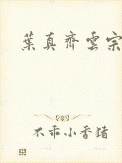 叶真齐云宗免费