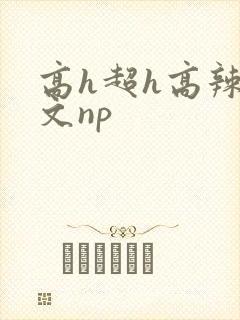 高h超h高辣h文np