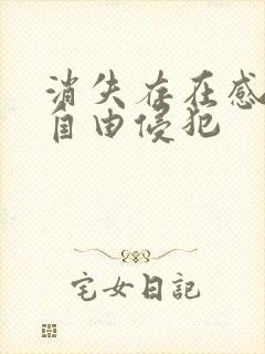 消失存在感消失自由侵犯