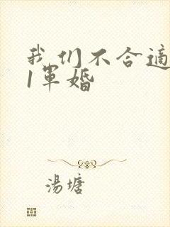 我们不合适1v1军婚封面