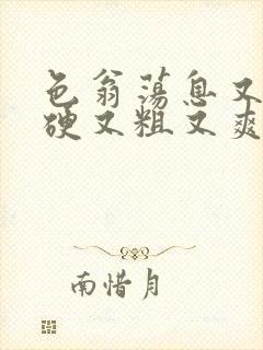 色翁荡息又大又硬又粗又爽