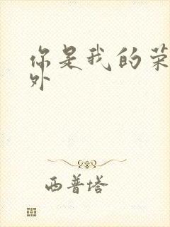 你是我的荣耀番外