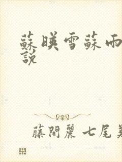 苏映雪苏雨柔小说