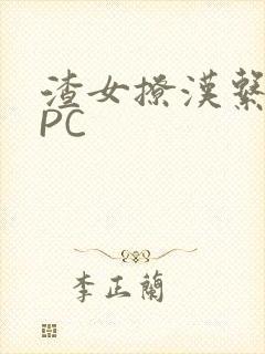 渣女撩汉系统NPC