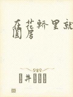 在花轿里就开始圆房