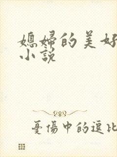 媳妇的美好时代小说