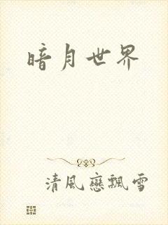 暗月世界
