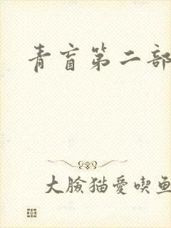 青盲第二部封面