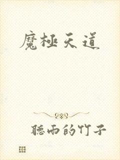 魔极天道封面