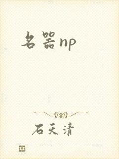 名器np