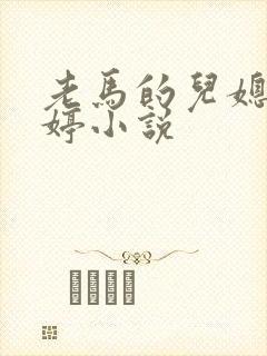 老马的儿媳顾婉婷小说封面