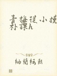 青梅从小摸到大补课h