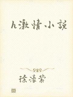 h激情小说
