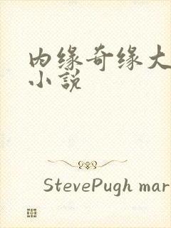 内缘奇缘大团圆小说