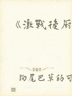 《激战后厨6》封面