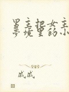 男主把女主拖进梦境里的小说封面