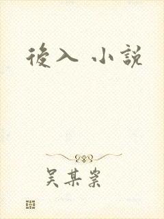 后入 小说