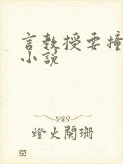 言教授要撞坏了小说封面