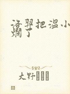 洛羿把温小辉做烂了封面