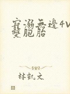 宠溺无边4V2双胞胎