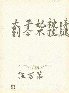 太子妃被暗卫C到合不拢腿