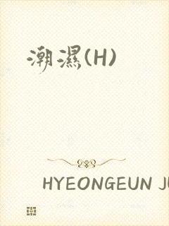 潮湿(H)