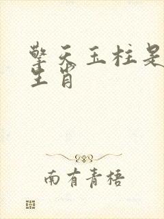 擎天玉柱是什么生肖