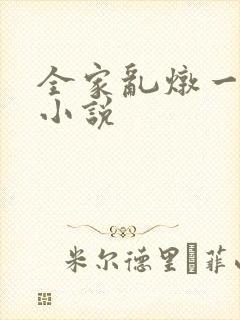 全家乱炖一锅烩小说