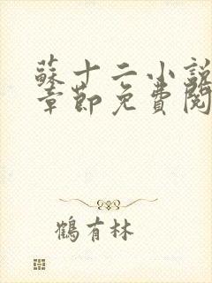 苏十二小说最新章节免费阅读下载