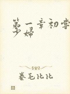 第一章初尝极品少妇