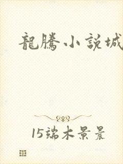 龙腾小说城